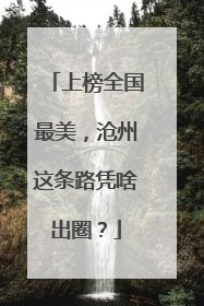 上榜全国最美，沧州这条路凭啥出圈？